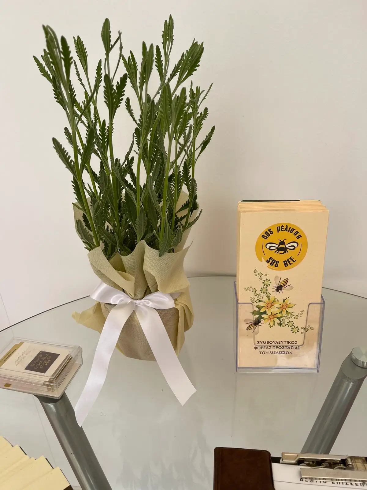 Πώς στήνεις ένα Bee Spot στη γειτονιά: από την ιδέα στην υλοποίηση